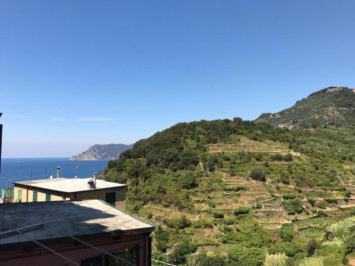 Appartamento Aurora 克里日亚 外观 照片